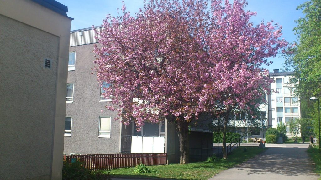 BRF Hektografen